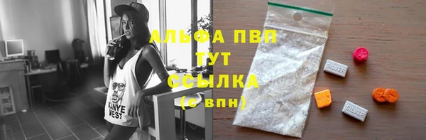 стаф Почеп