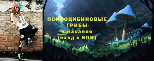 дурь Надым