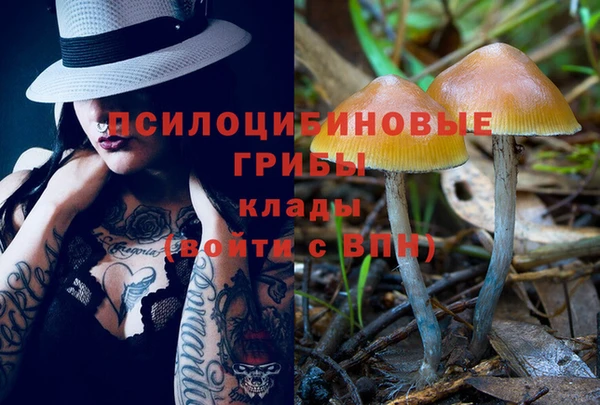 дурь Надым