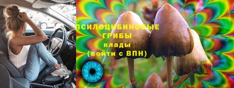 Галлюциногенные грибы MAGIC MUSHROOMS  купить наркотики цена  Уяр 