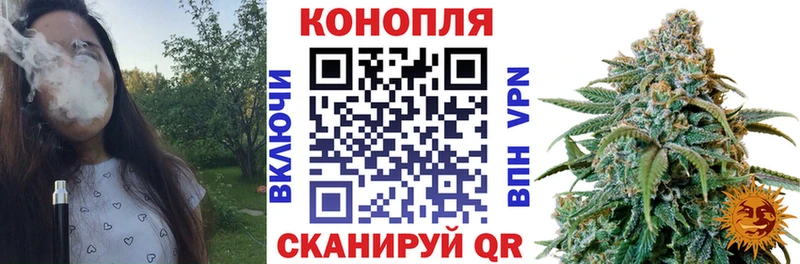 Бошки Шишки SATIVA & INDICA  нарко площадка наркотические препараты  Уяр  kraken tor 